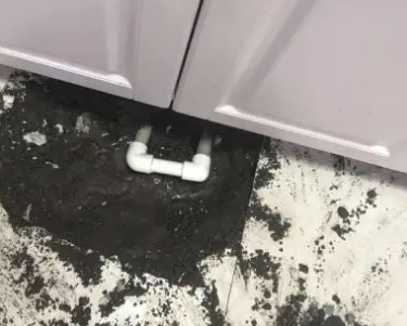 朗县查漏水哪家好