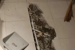朗县卫生间漏水检测电话